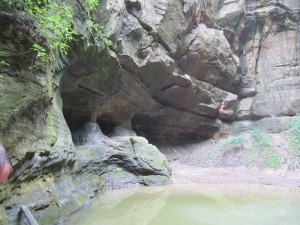 029 Canyon at Starved Rock.