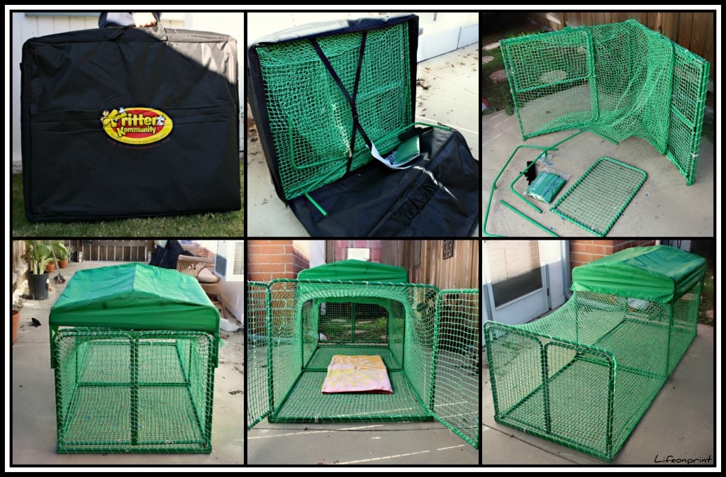 Collage of the Kritter Kondo
