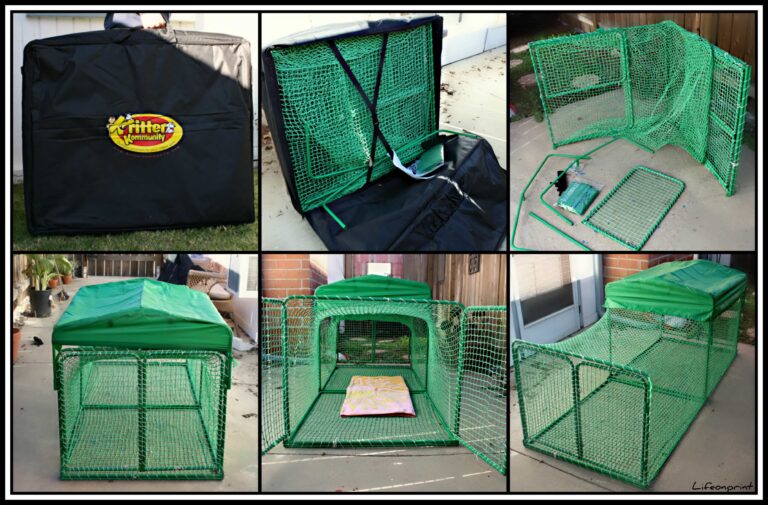 Allow your Indoor Cat Outside Fun with Kritter Kondo