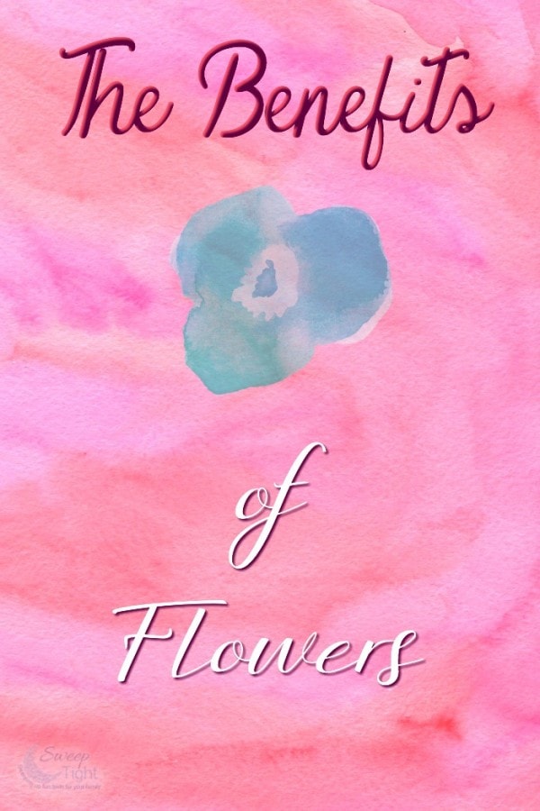 The Benefits of Flowers 