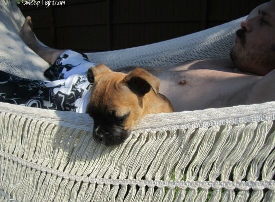 bliss hammock