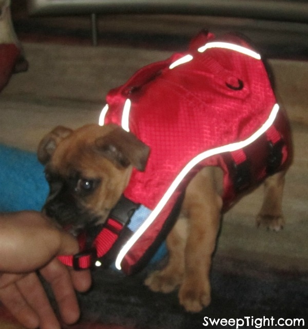 pup-lifevest surf n turf