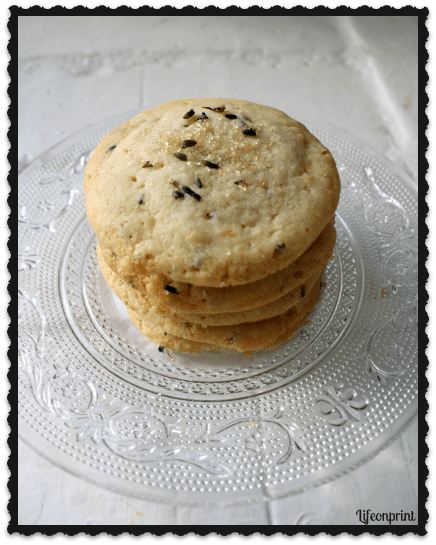Lavender Lemon Sugar Cookies Recipe