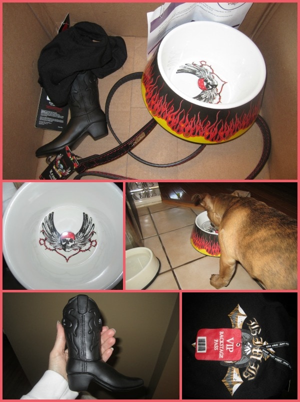 bret michaels pets rock
