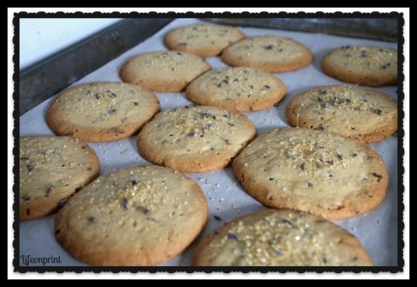 Lavender Cookies