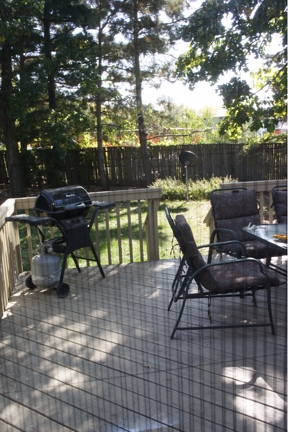 screen door