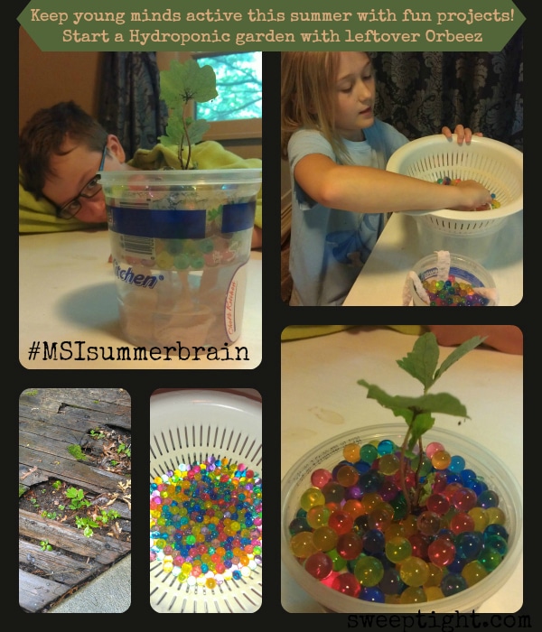 fun things for kids to do to prevent summer brain drain #MSIsummerbrain
