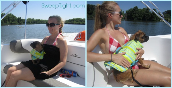 boating with dogs