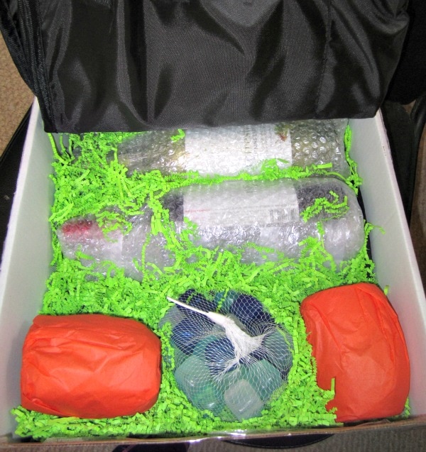 Summer picnic kit with wine, ice, and glasses. 