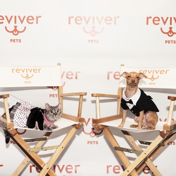 Tuna and Nala at the Reviver Pets event in Chicago. 