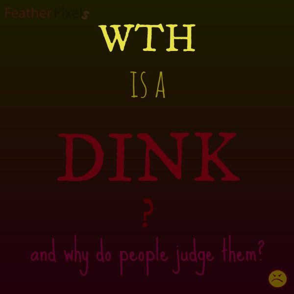 Defending the DINK Lifestlye