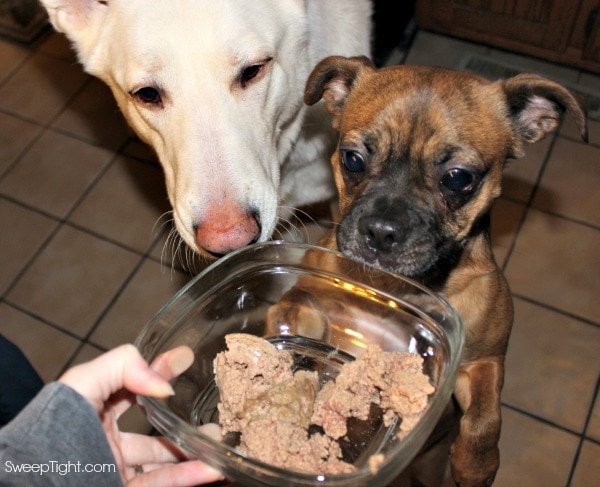 Alpo Chop House