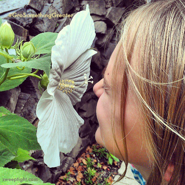 Grandma's Garden