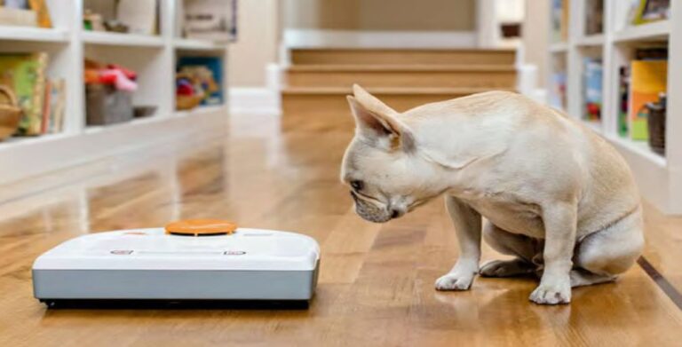 When Pet Shedding Takes Over #NeatoBestPetVacuum