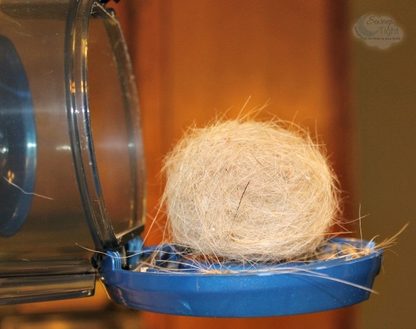 When Pet Shedding Takes Over #NeatoBestPetVacuum