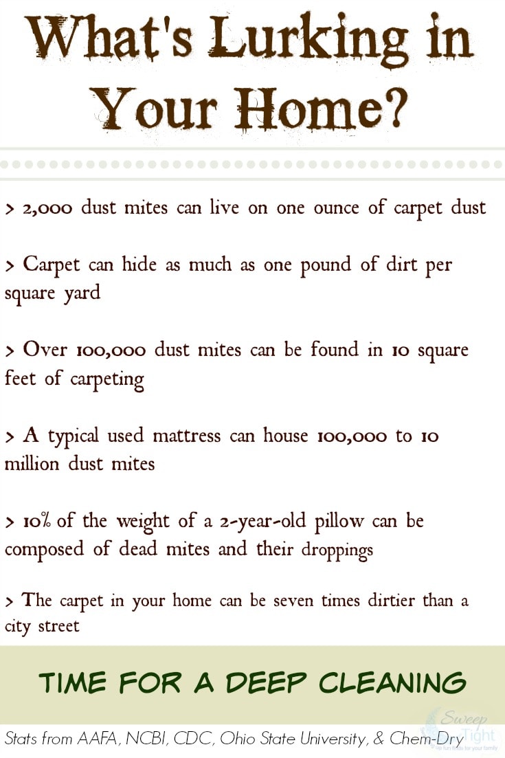 Deep Cleaning to Reduce Allergens