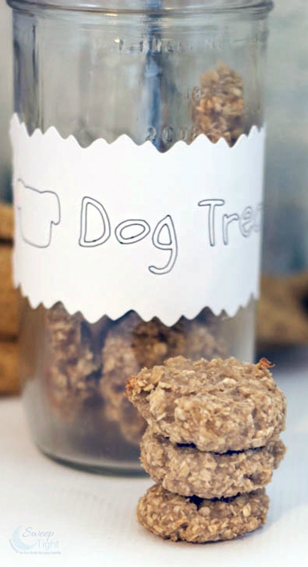 Oatmeal Banana Homemade Dog Treats Recipe