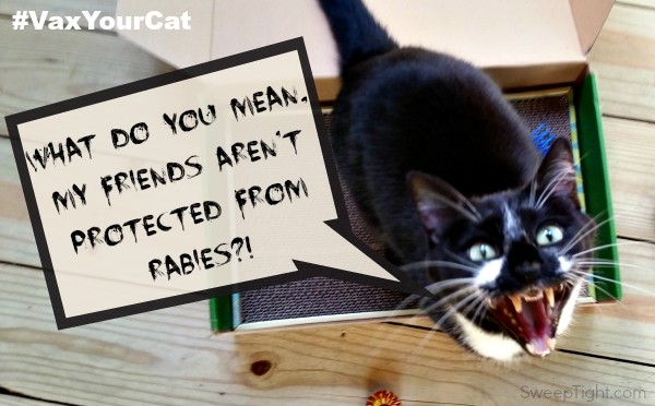 Protect your cat and family from rabies. #VaxYourCat #sponsored