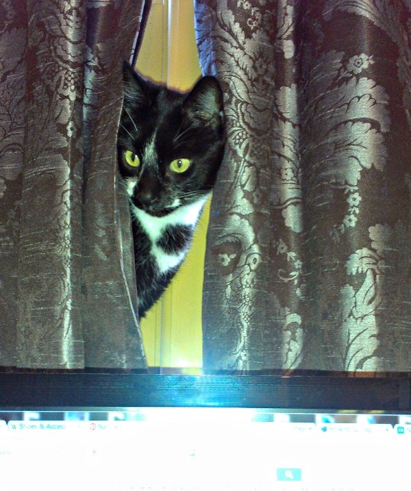 supervisor