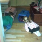 kids first meeting Stewie