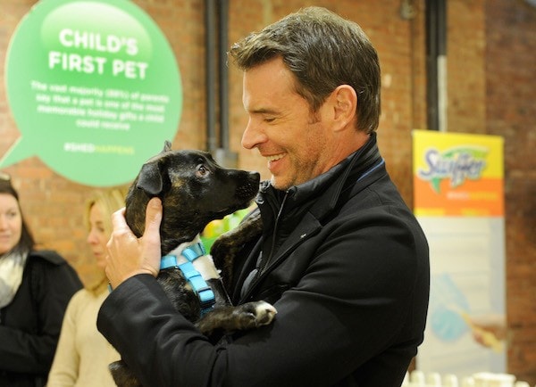 Swiffer will help with the mess when you adopt your first pet