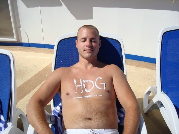 Sunshine hog