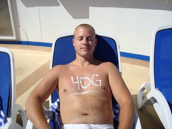 Sunshine hog