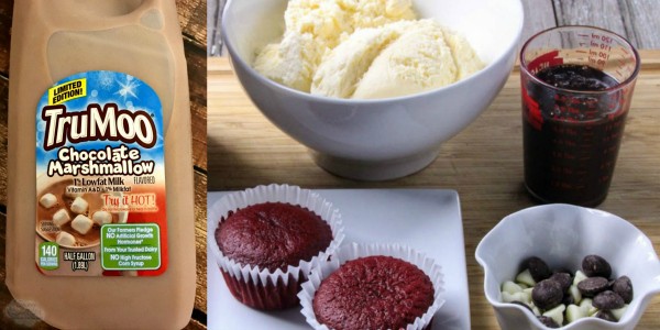 TruMoo, cupcakes, Ice cream, syrup, and chips