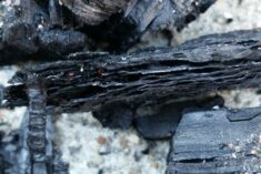 Pinterest Hidden Image