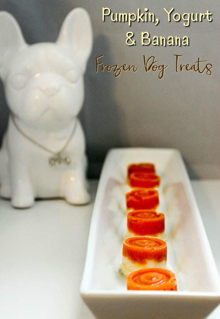 Pumpkin Yogurt Easy Frozen Dog Treats Recipe