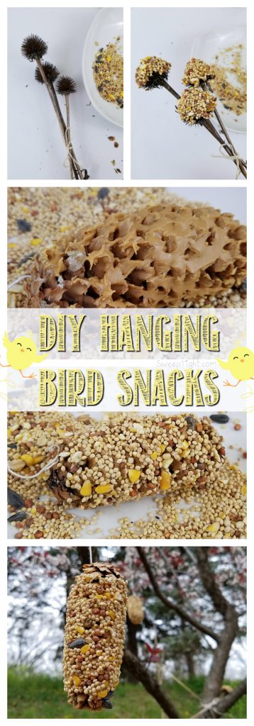 Collage of making bird feeders.