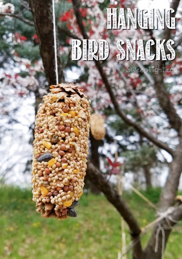 DIY Hanging Bird Snacks using Pine Cones - Earth Day Activities kids love for any day! 