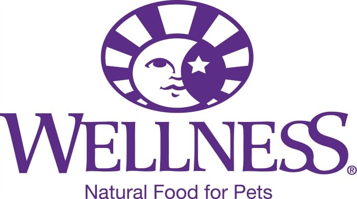 Wellness logo