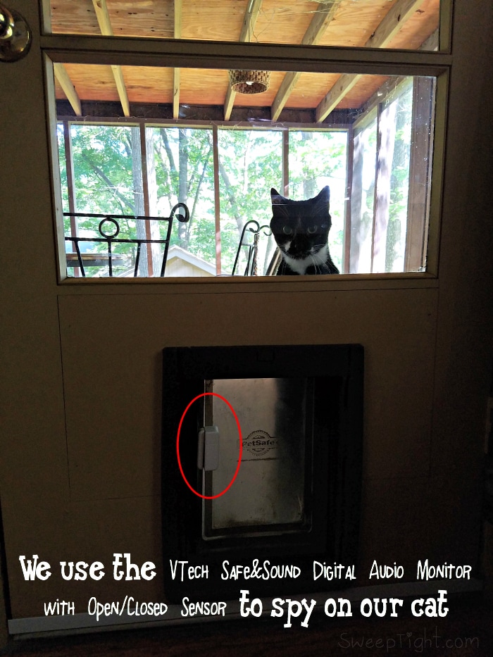 VTech Digital Audio Baby Monitor Spies on the Cat @VTechUSA #GrowWithVTech ad