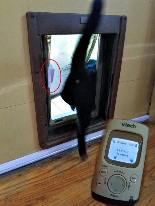 VTech Digital Audio Baby Monitor Spies on the Cat @VTechUSA #GrowWithVTech ad 
