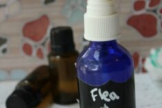 Pinterest Hidden Image