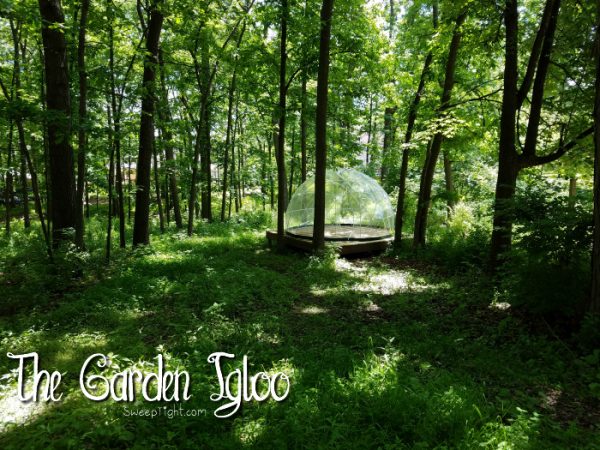 A Garden Igloo in the woods. 