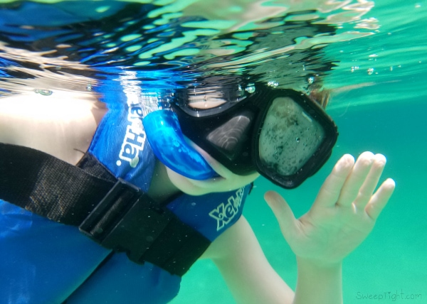 14 Things to bring on vacation in Mexico - underwater camera or waterproof case for phone - this was taken with my Galaxy S7