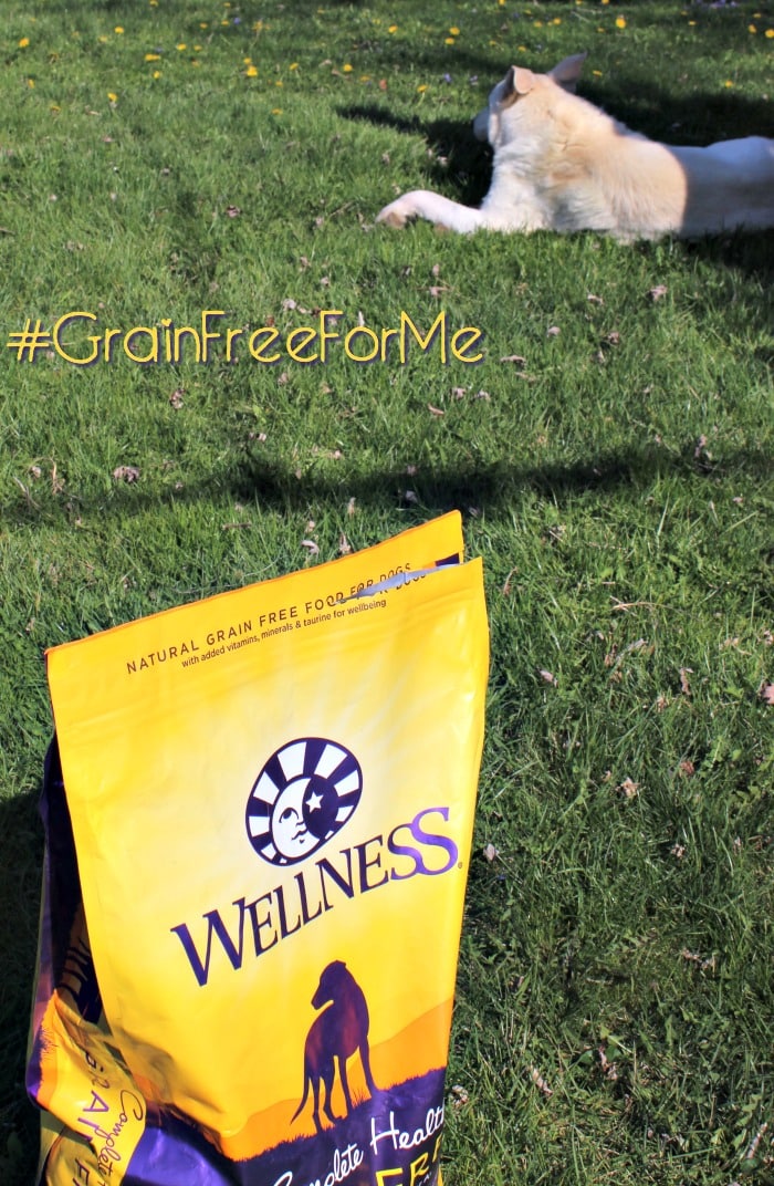 Grain Free Dry Dog Food is at PetSmart #GrainFreeForMe