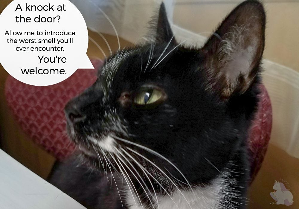 The Holidays are Full of Surprises - Good and Not So Good #12Stinks #ad