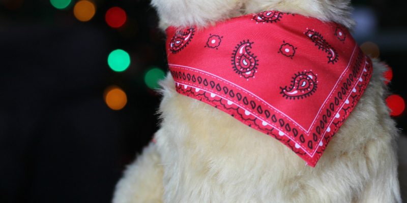 Stuffed dog toy with a red bandana. 