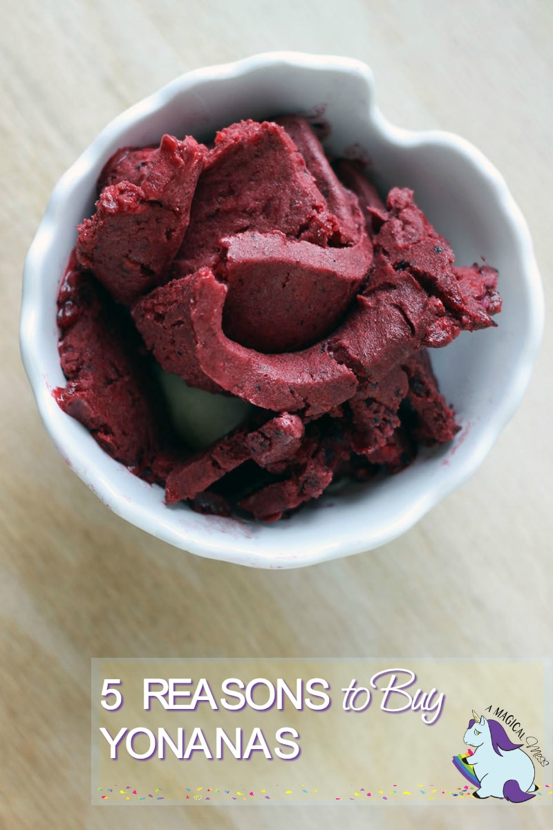 5 Reasons to Buy Yonanas to Make Healthier Choices