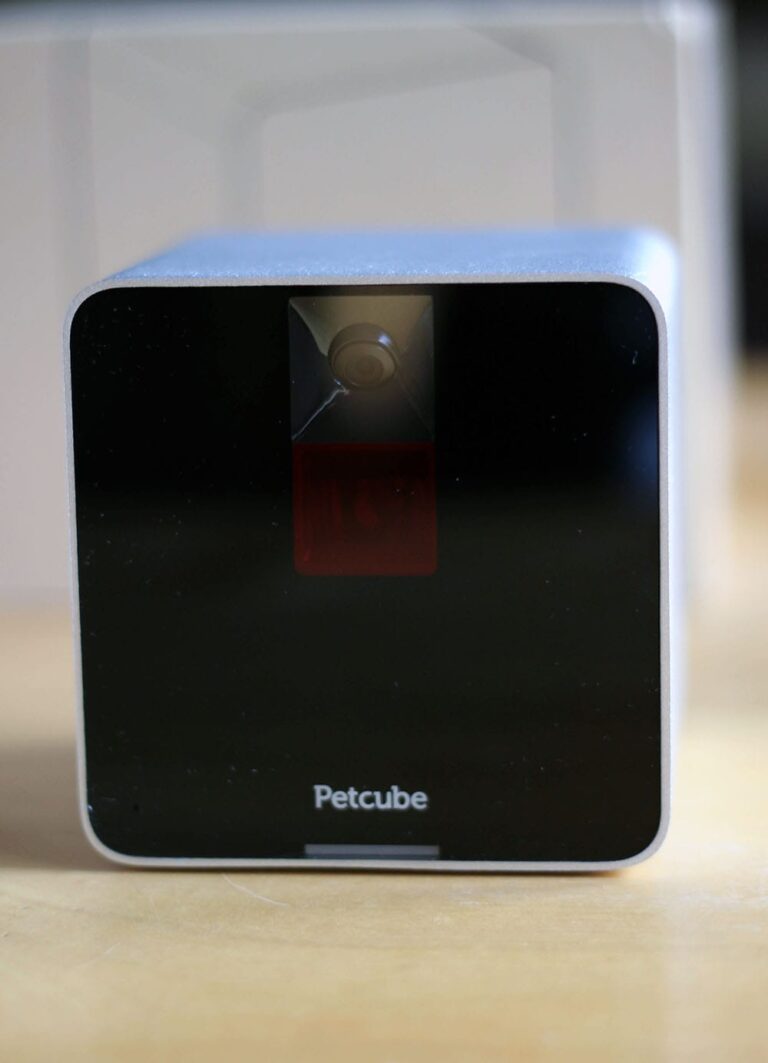 5 Reasons you Need an Interactive Pet Camera