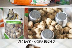 Pinterest Hidden Image