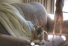 Pinterest Hidden Image