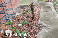 Pinterest Hidden Image