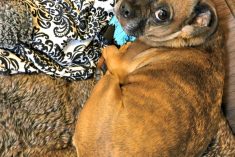 Pinterest Hidden Image