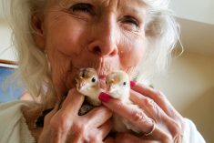 Pinterest Hidden Image