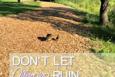 Pinterest Hidden Image