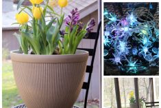 Pinterest Hidden Image